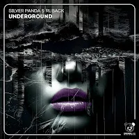 Silver Panda — Underground Ft Ruback — обложка
